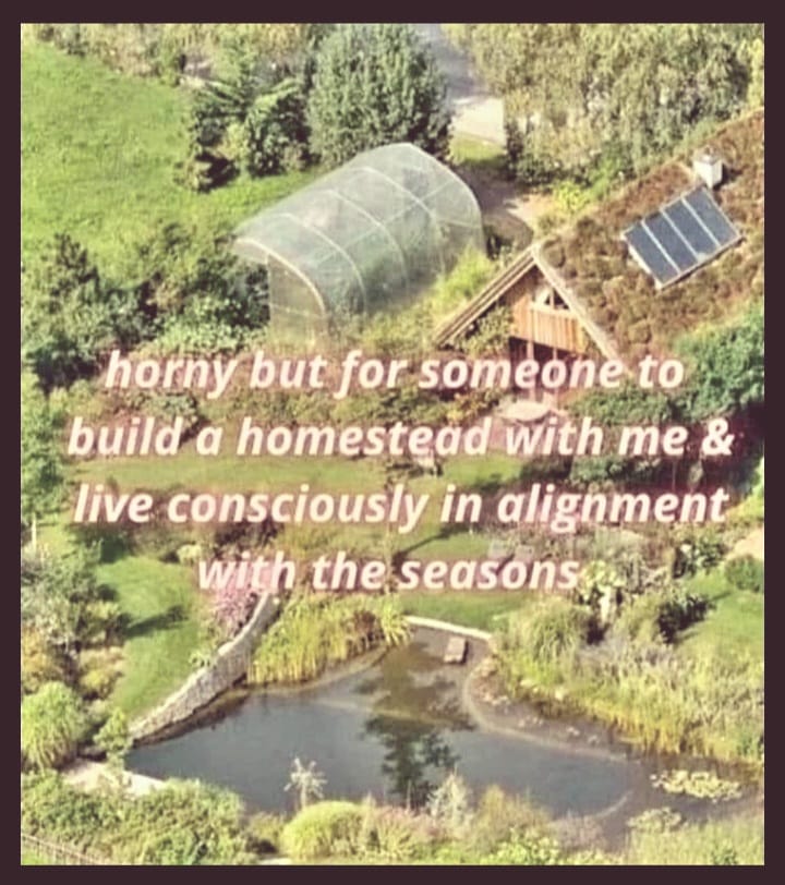 This meme is a humorous and slightly provocative image that pokes fun at the idea of building a homestead with someone. The text in the image reads: "horny but for someone to build a homestead with me & live consciously in alignment with the seasons." The image is likely a playful and cheeky take on the idea of building a home and living in harmony with nature.